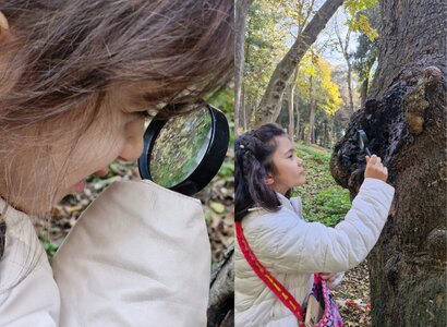 Genç Botanikçiler Keşifte 